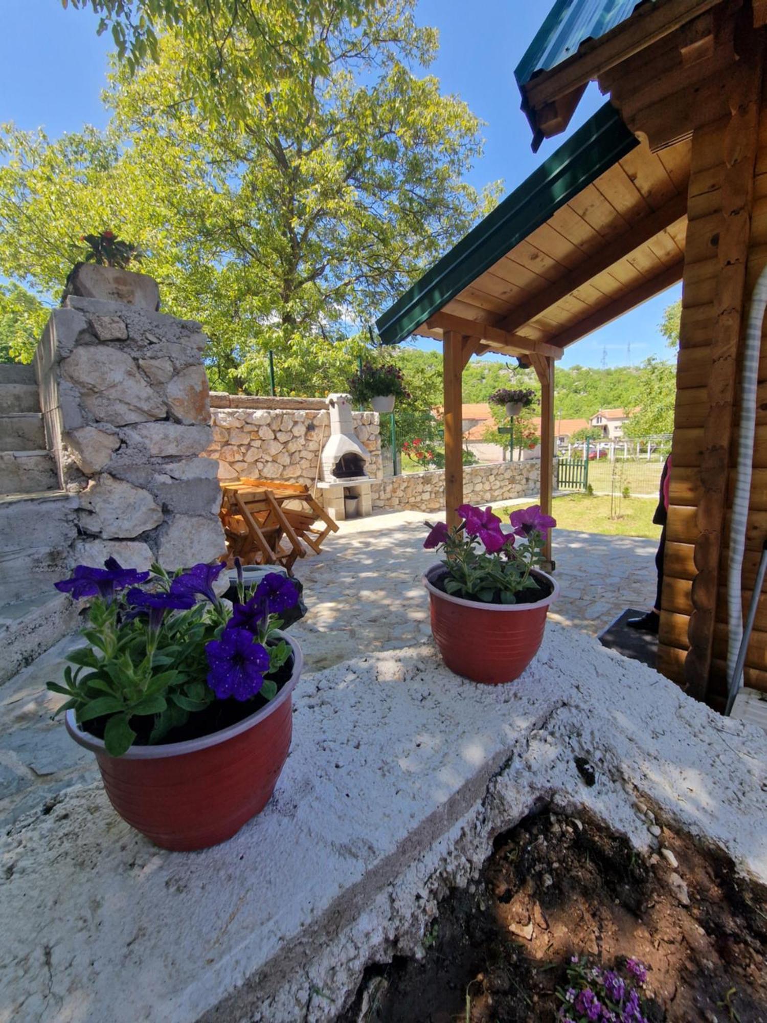 Brvnara Ricki Villa Cetinje Luaran gambar