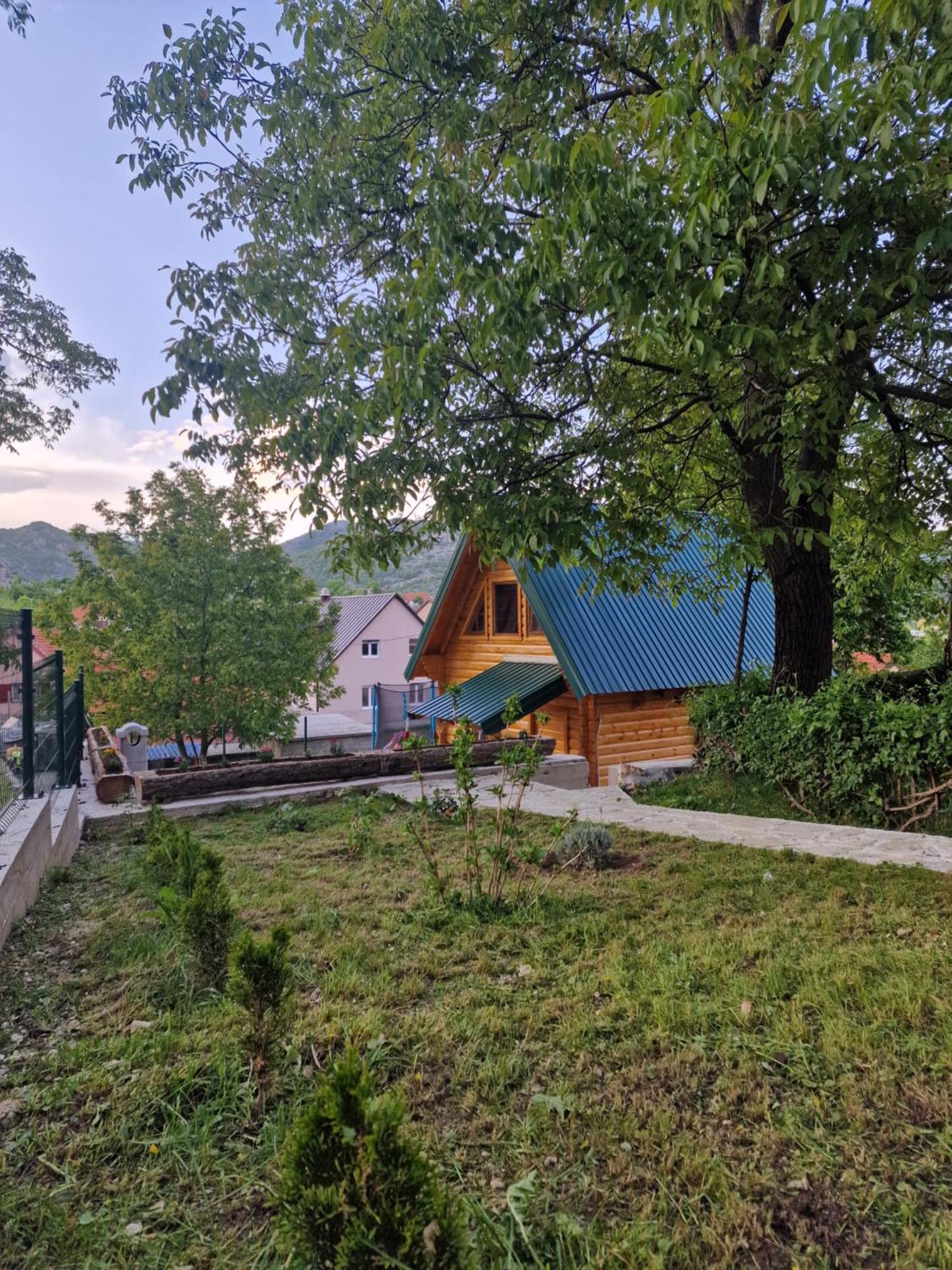 Brvnara Ricki Villa Cetinje Luaran gambar