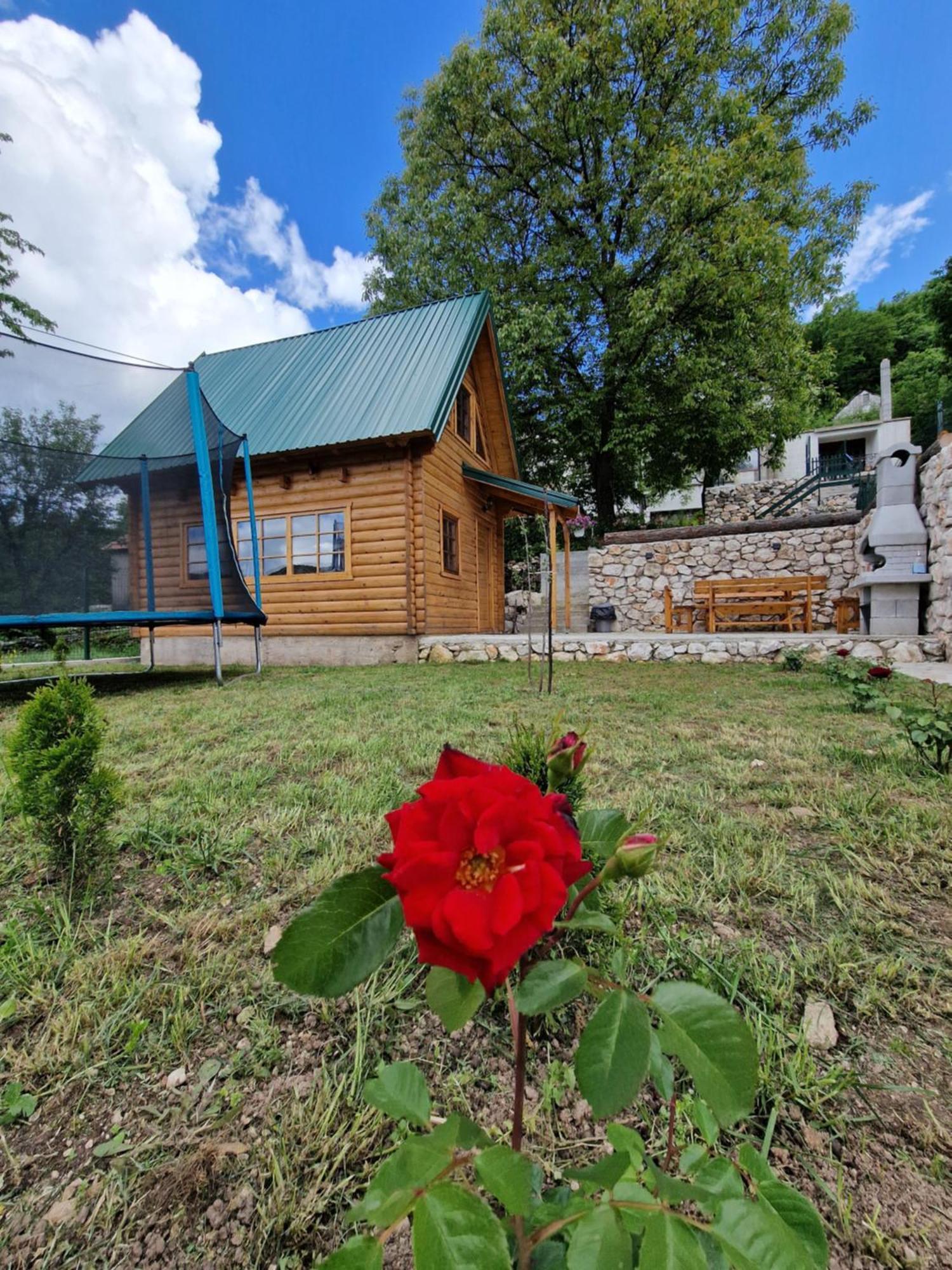 Brvnara Ricki Villa Cetinje Luaran gambar