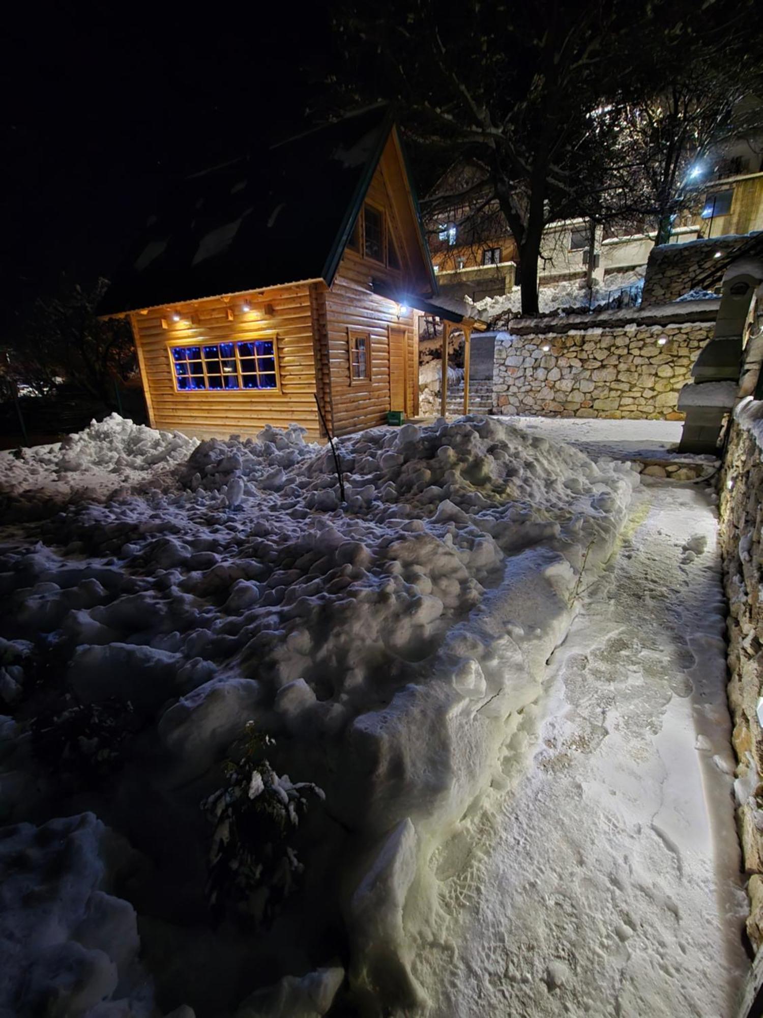 Brvnara Ricki Villa Cetinje Luaran gambar