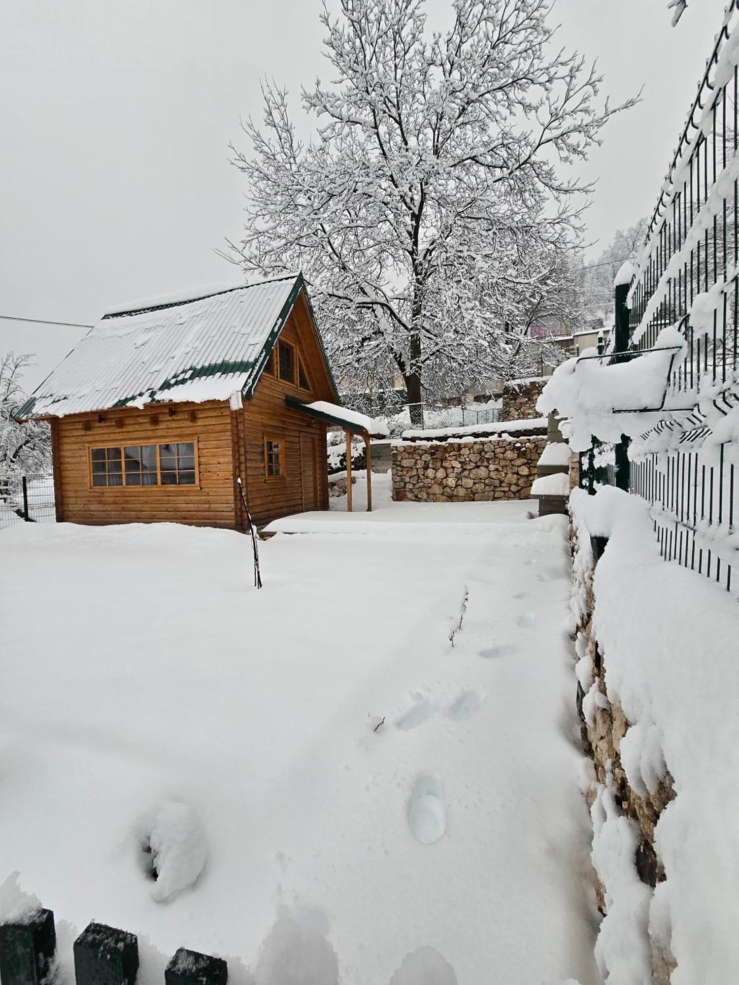 Brvnara Ricki Villa Cetinje Luaran gambar